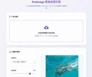 ProImage 图像处理引擎 100% 纯浏览器本地处理