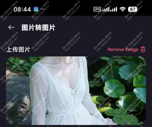 Lynix高级版，无限AI生图，图生视频限制少！
