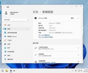 Windows 11 Pro专业版精简修改版镜像 23H2/25H2/26H1 稳定精简 极限版 二合一  小修