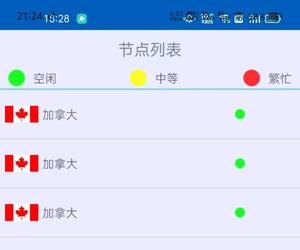 海鸥加速器6.6.0，速度嘎嘎快！