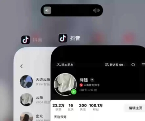 全网唯一抖音模拟器开源