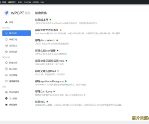 WPOPT v2.3.2 WordPress底层功能进行优化，系统加速