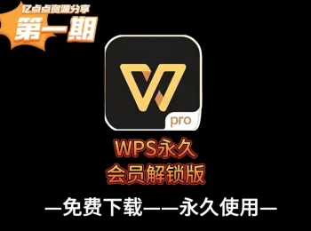 WPS永久会员专业版最新版,所有VIP功能全部免费使用