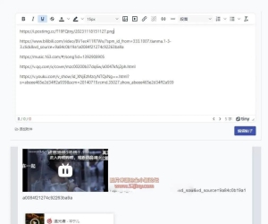xiuno论坛 – 直链转换视频、音乐、图片插件