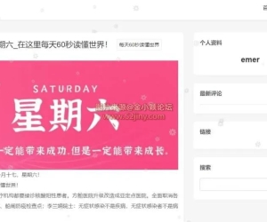 Emlog Pro插件 – 下雪积雪装饰插件