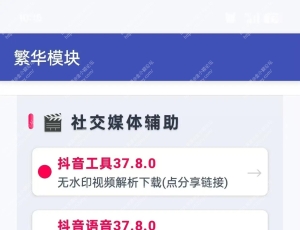 繁华模块2.5.1，番茄小说专业SVIP，抖音无水印下载！