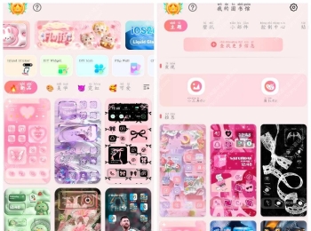 主题大全v1.0.0.461会员版  海量主题壁纸图标包等资源