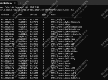 DLL 函数查看器 高效控制台版