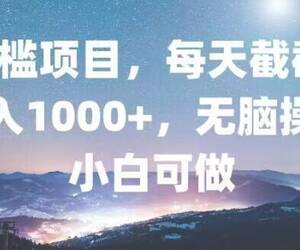 0门槛项目，每天截截图，日入1000+，轻松无脑，小白可做