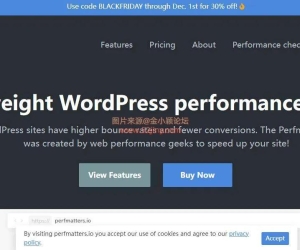 WordPress性能优化插件–Perfmatters v2.5.6 优化版下载