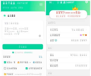 薄荷下载v1.3.4会员版  磁力在线播放+下载