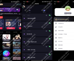 【欢乐变声器】3.2.8 万能变声器 专业VIP