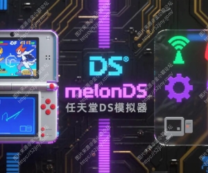 MelonDualDS模拟器安卓版NDS游戏模拟器附NDS游戏中文全集附教程