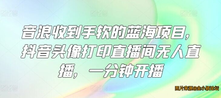 2024音浪收到手软的蓝海项目 抖音头像打印直播间无人直播