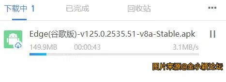 迅雷9.0.8，PC端绿化会员版！