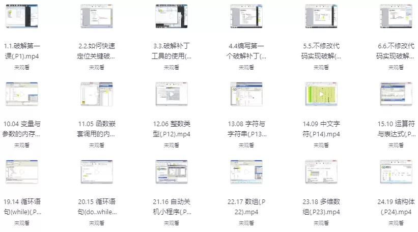 网络逆向破解全程课程 入门班+中级班+专业班【技术指南】